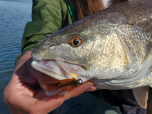 Load image into Gallery viewer, 1x Tungsten Jig Head (3 pack)